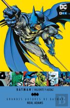 Grandes Autores De Batman: Neal Adams - Valiente Y Audaz