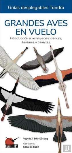 Bertrand.pt - Grandes Aves En Vuelo - Guias Desplegables Tundra
