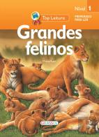 Grandes Felinos