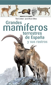 Grandes Mamiferos Terrestres De España Y Sus Rastros