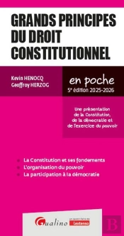 Grands Principes Du Droit Constitutionnel : Une Présentation Des Notions De Constitution, De Démocratie Et D'Exercice Du Pouvoir (Édition 2025/2026)