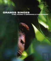 Grands Singes
