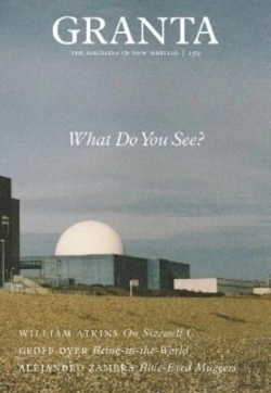 Bertrand.pt - Granta 159: What Do You See?