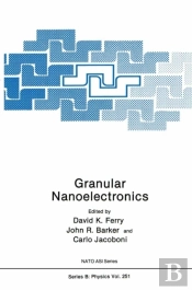 Granular Nanoelectronics