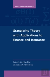 Granularity Theory With Applications To Finance And Insurance