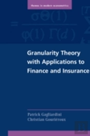 Granularity Theory With Applications To Finance And Insurance