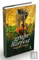 Grape Harvest