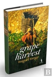 Grape Harvest