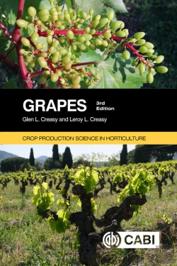 Bertrand.pt - Grapes