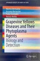 Grapevine Yellows Diseases And Their Phytoplasma Agents
