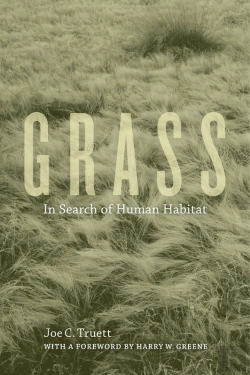 Bertrand.pt - Grass