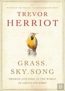 Bertrand.pt - Grass, Sky, Song