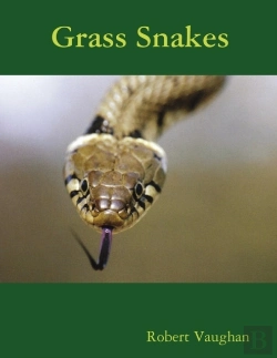 Bertrand.pt - Grass Snakes
