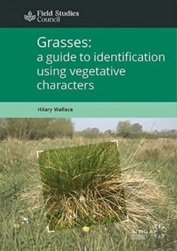 Bertrand.pt - Grasses: A Guide To Identification Using Vegetative Characters