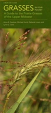 Grasses In Your Pocket