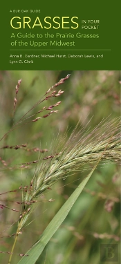 Grasses In Your Pocket
