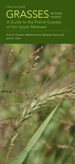 Bertrand.pt - Grasses In Your Pocket