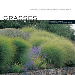 Bertrand.pt - Grasses