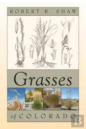 Grasses Of Colorado