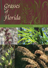 Grasses Of Florida