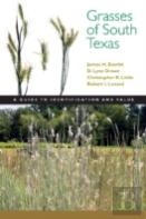 Grasses Of South Texas