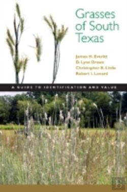 Bertrand.pt - Grasses Of South Texas