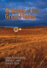 Grasses Of The Great Plains