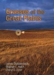 Grasses Of The Great Plains
