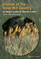 Grasses Of The Texas Hill Country