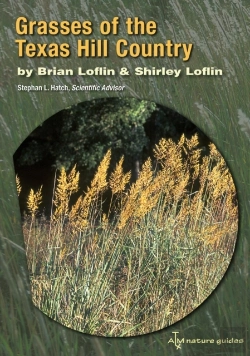 Bertrand.pt - Grasses Of The Texas Hill Country