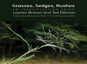 Grasses, Sedges, Rushes