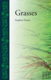Grasses