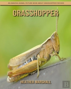 Bertrand.pt - Grasshopper