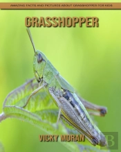 Grasshopper