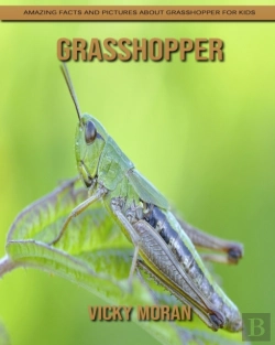 Bertrand.pt - Grasshopper