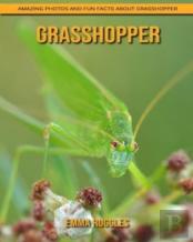 Grasshopper