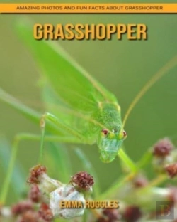 Bertrand.pt - Grasshopper