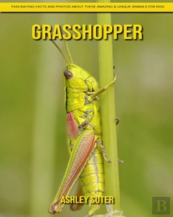 Bertrand.pt - Grasshopper