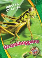 Grasshoppers