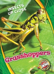 Grasshoppers