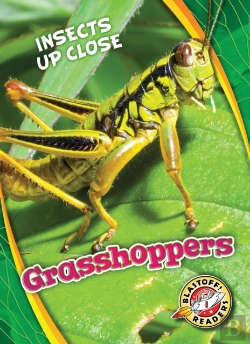 Bertrand.pt - Grasshoppers
