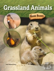 Grassland Animals