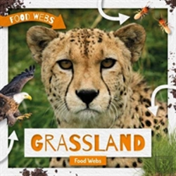 Bertrand.pt - Grassland Food Webs