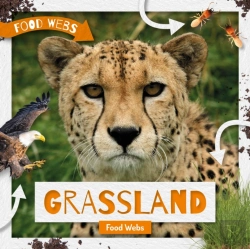 Bertrand.pt - Grassland Food Webs