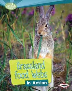 Bertrand.pt - Grassland Food Webs In Action
