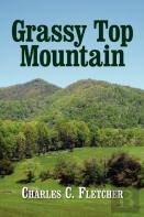 Grassy Top Mountain