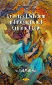 Gravity Of Wisdom In International Criminal Law