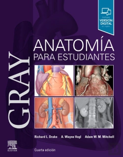Bertrand.pt - Gray. Anatomía Para Estudiantes (4ª Ed.)