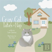 Gray Cat Takes A Nap