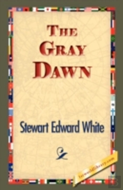 Bertrand.pt - Gray Dawn